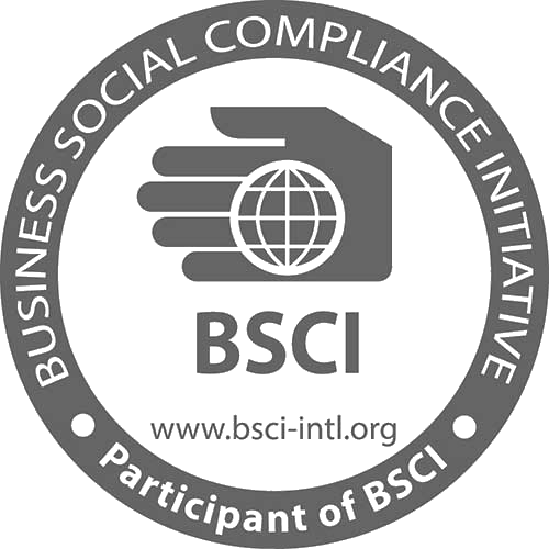 BSCI Logo